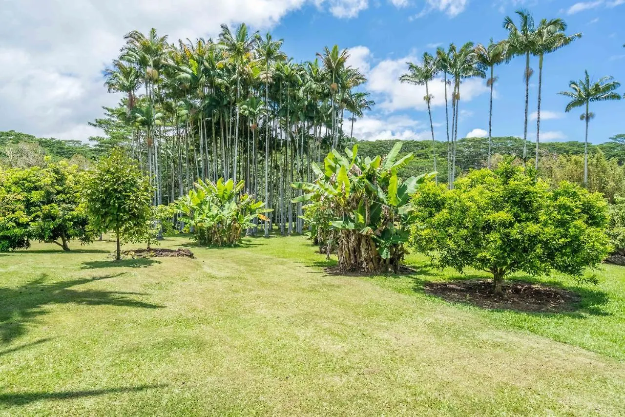 Old Hawaiian Bed And Breakfast Χίλο