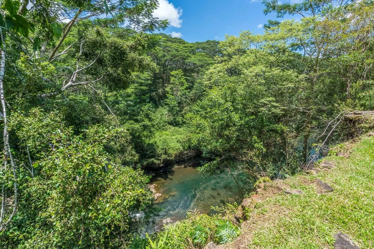 Old Hawaiian Bed And Breakfast Χίλο