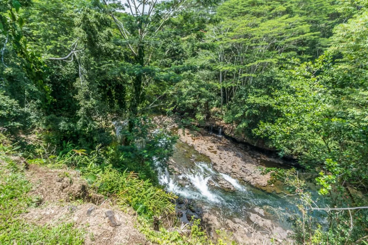 Old Hawaiian Bed And Breakfast Χίλο