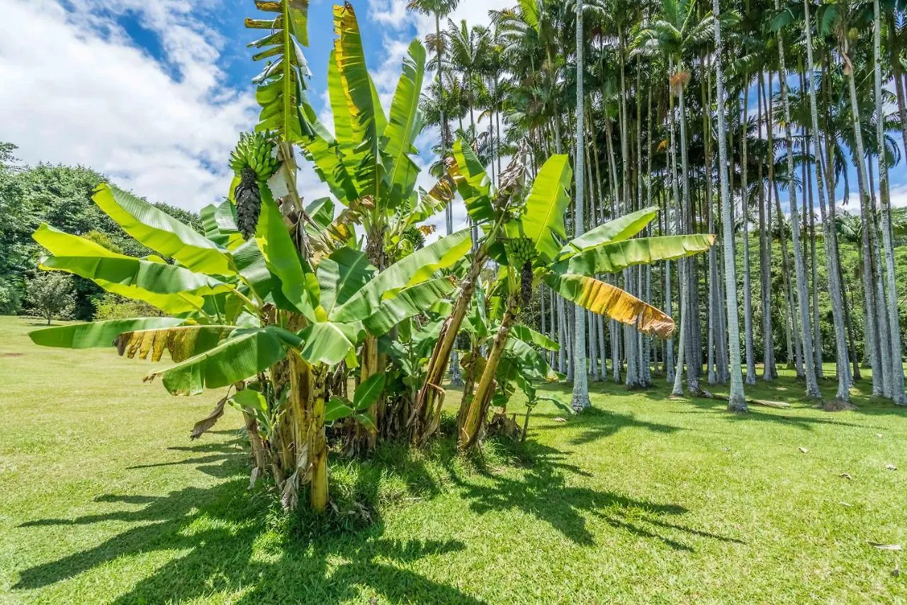 Old Hawaiian Bed And Breakfast Hilo 3*,  United States