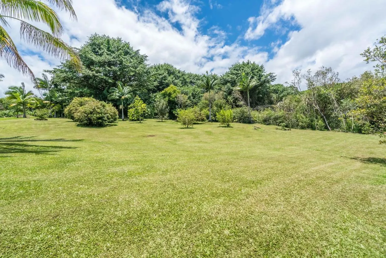 Old Hawaiian Bed And Breakfast Hilo Bed & Breakfast