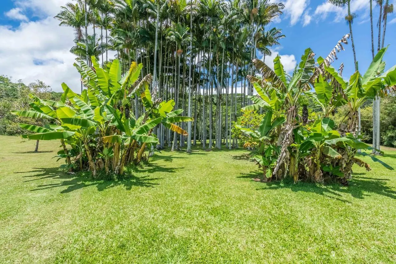 Old Hawaiian Bed And Breakfast Hilo 3*,  Stany Zjednoczone Ameryki