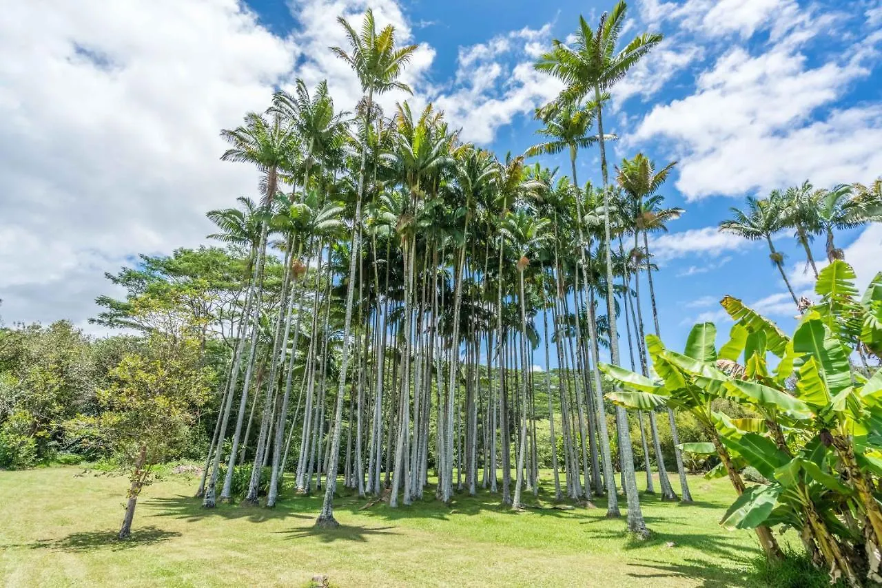 Old Hawaiian Bed And Breakfast Hilo Nocleg ze śniadaniem